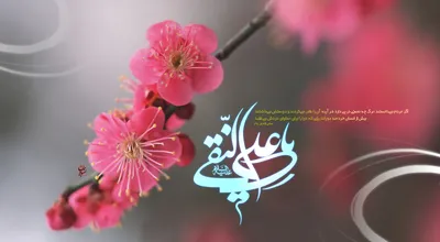 ضضضضض_6373.jpg