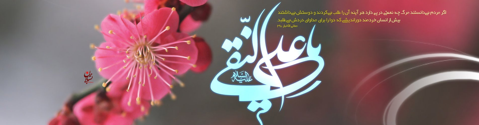 ولادت با سعادت امام علی النقی الهادی (ع)