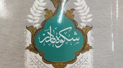 IMG_20251115_134611_178