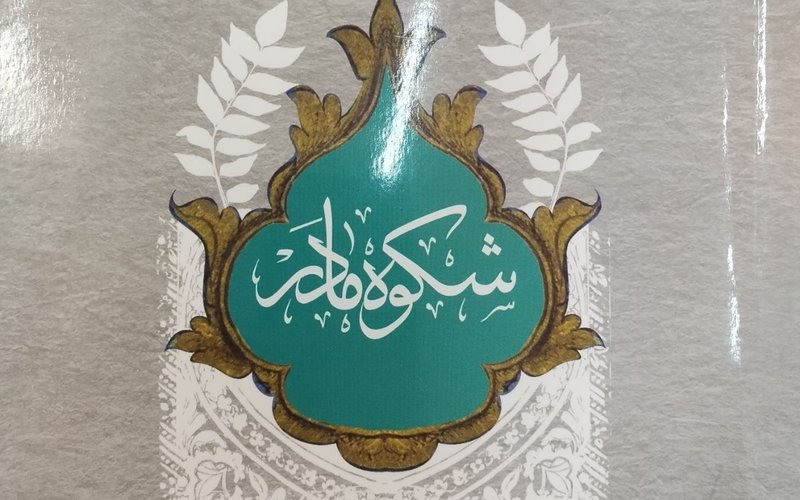 IMG_20251115_134611_178