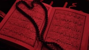 IMG_20251125_121418_872