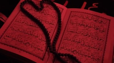 IMG_20251125_121418_872