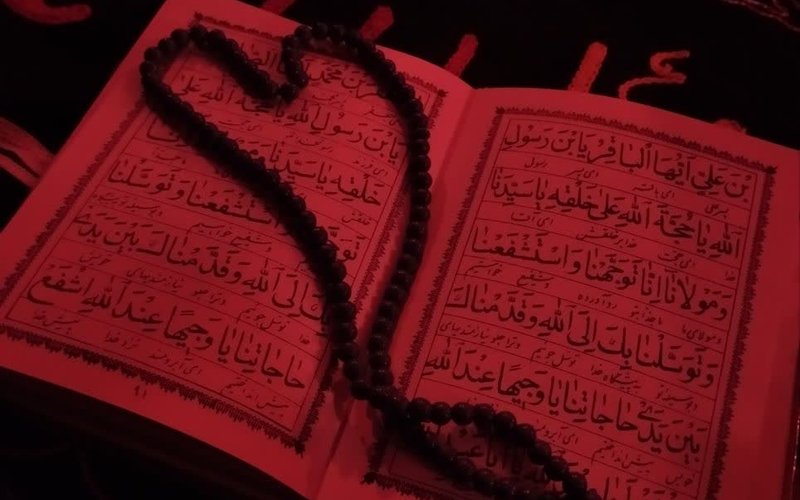 IMG_20251125_121418_872