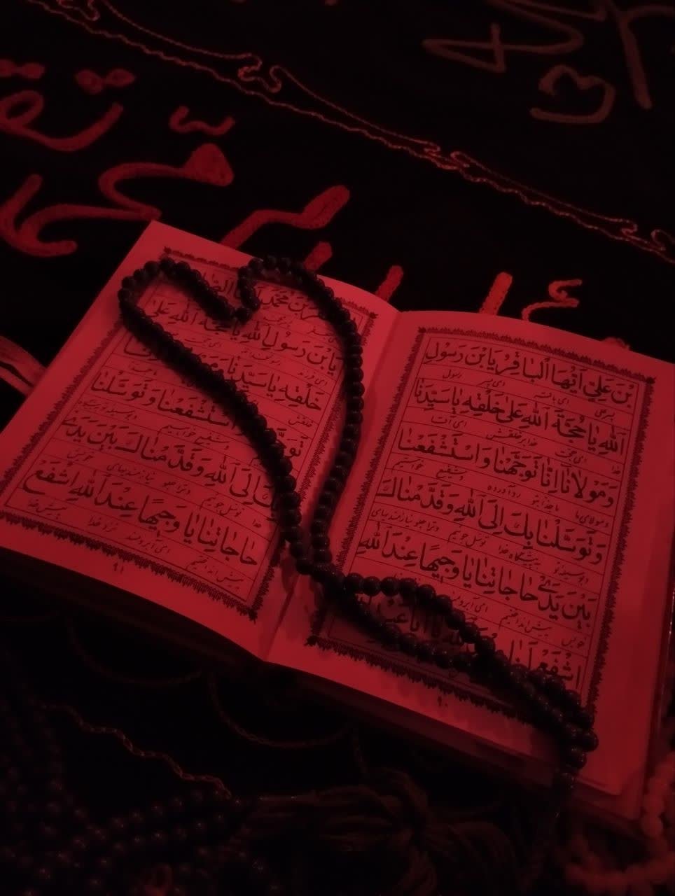 IMG_20251125_121418_872