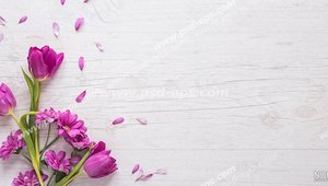 nody--1629064580