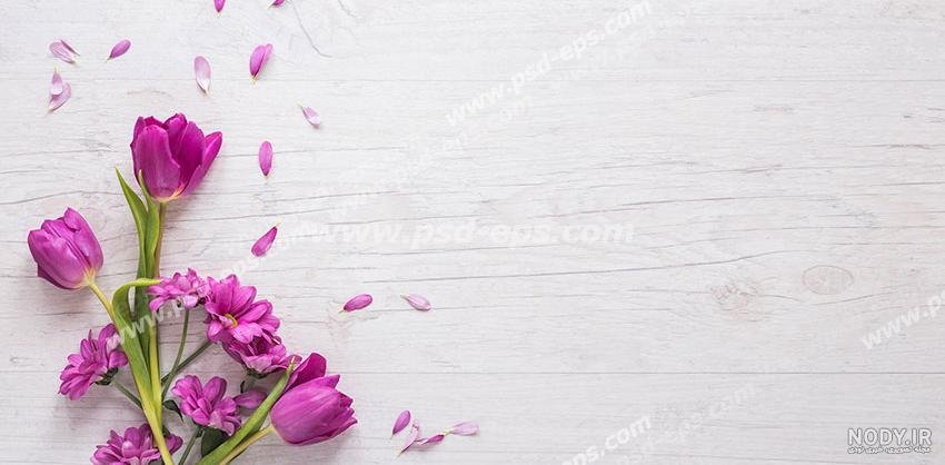nody--1629064580