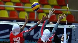 thum-b3781c46aca9da6a9c9-33_9954_10085.jpg